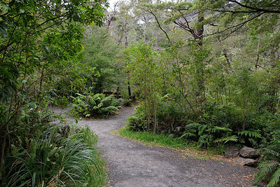 12-055 Kaitoke Regional Park - Rivendell