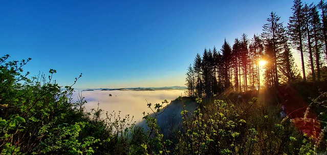 Morning Temperature Inversion Layer Over Tahkenitch Lake