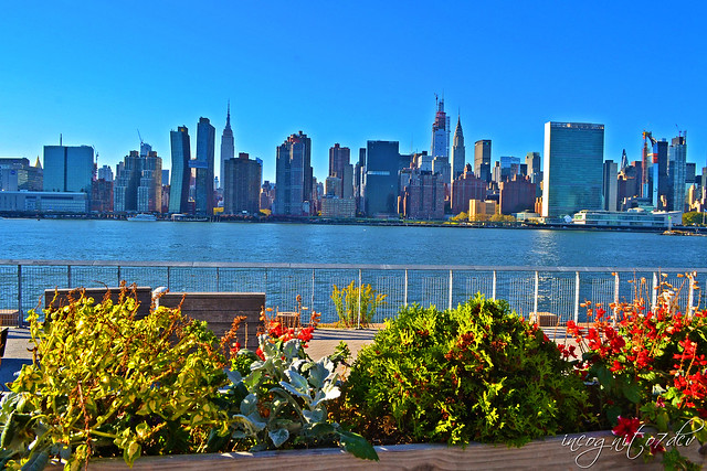 Hunter's Point South Park View of Midtown Manhattan Skyline Long Island City Queens New York City NY P00494 DSC_2448