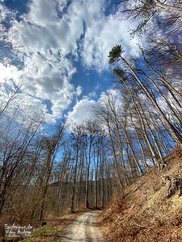 leafless hill hike hiking elmmountainrange mountain germany landscape nature trees forest woodland outdoors recreation spring season fairweather sky clouds color sunny day ecosystem growth tall standing lowangle