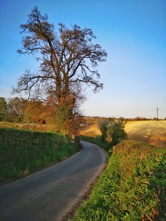 Country lanes