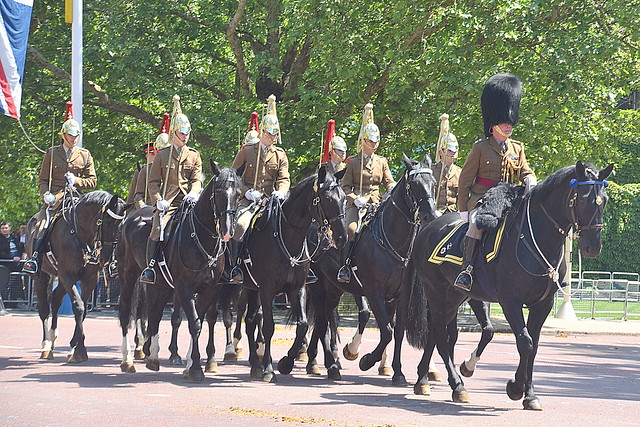 Household Cavalry, London