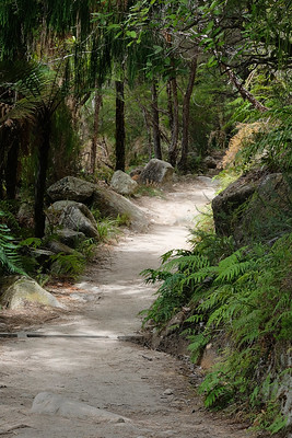 15-141 Abel Tasman National Park