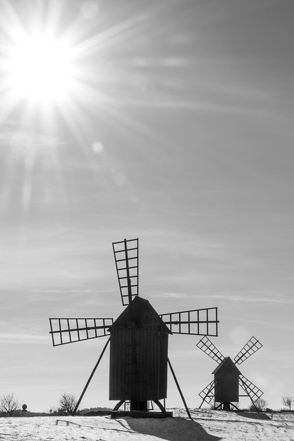 Sunlit old windmills on the island Öland in Sweden