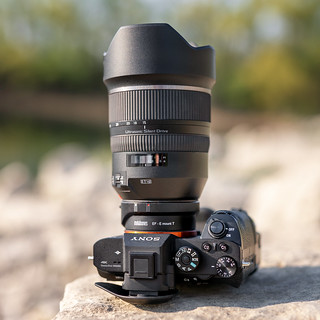 SONY ⍺7RII with Tamron SP 2.8/15~30 Di VC USD by SONY ⍺7III with Sigma FE 50mm ƒ/1.4 DG HSM | Art | by mike | MKvip.photo