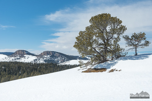 bighornmountains bighornnationalforest april spring snow snowy afternoon sunny blue sky twinbuttes tree tamron2470mmf28 snowshoeing