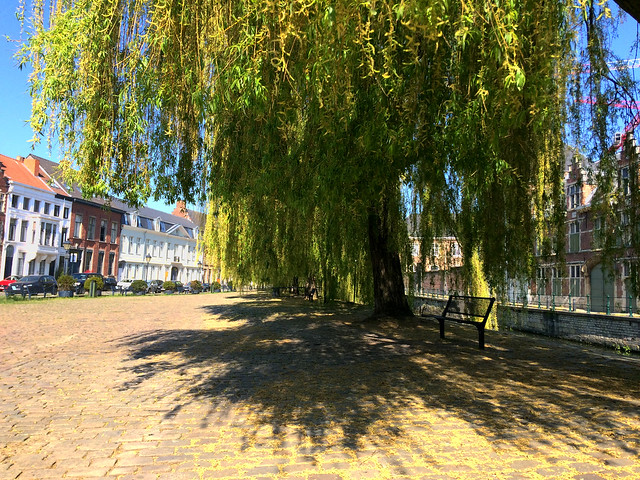 Ghent during lockdown - Benches under a canopy of weeping willows