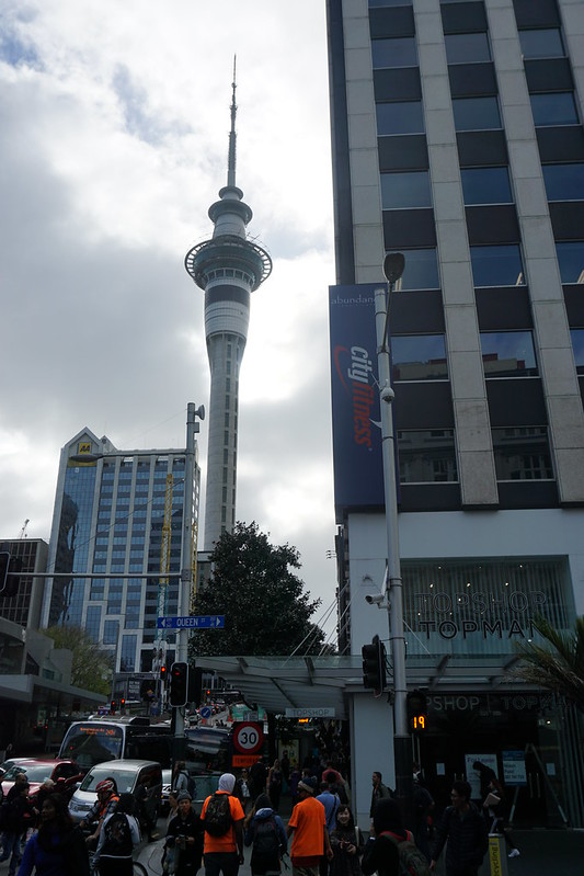 Destino final: Auckland - Kia Ora, NUEVA ZELANDA (12)