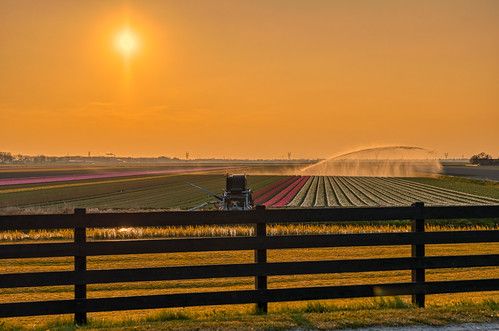 Fenced off sunset. by Alex-de-Haas, « If you appreciate my work and would like to support me becoming an independent photographer, becom