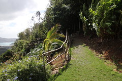 Villa Botanica - Amazing Mountain Views & Villa Botanica Excursion - Charlotte Amalie, St. Thomas, US Virgin Islands - from Port and the Celebrity Equinox - February 18th, 2020