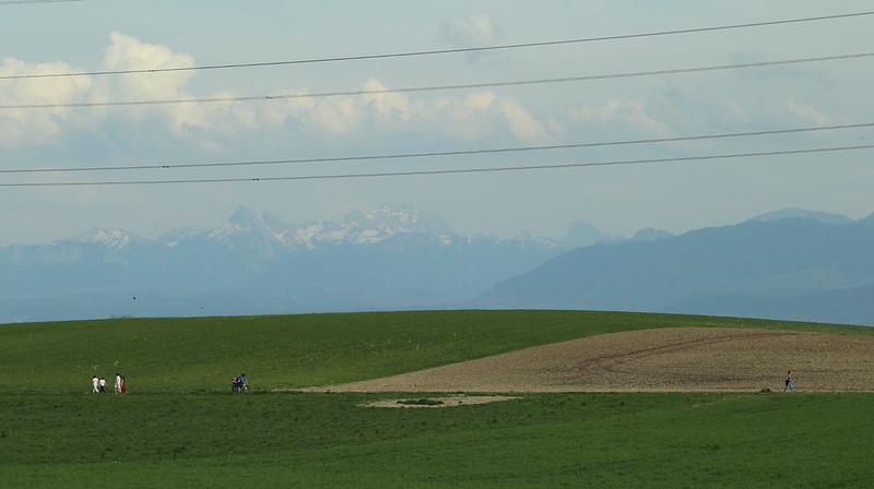 People walking during the 2020 Pandemic in the Canton de Vaud, with the Alps in the background