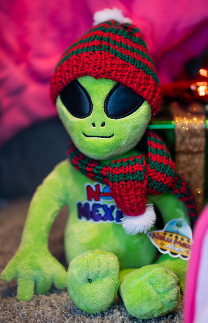 New Mexico Alien ready for winter
