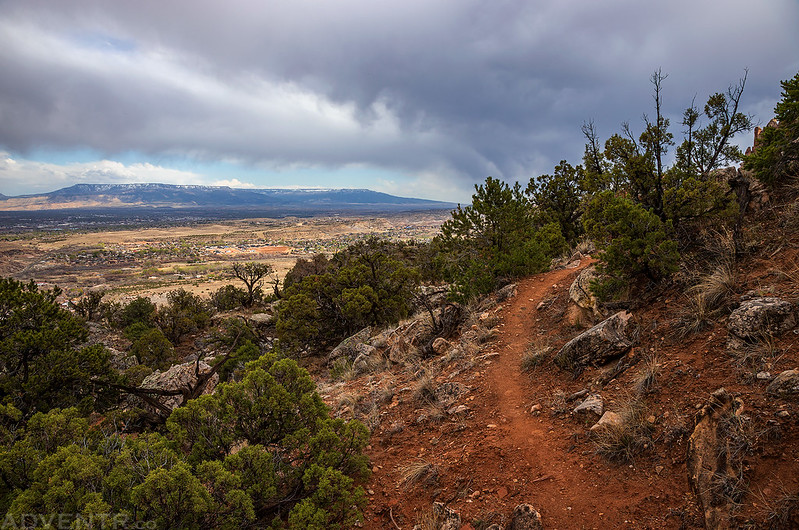 Grand Mesa View
