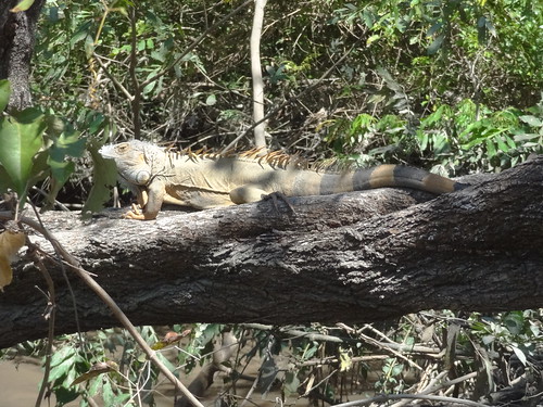 costarica