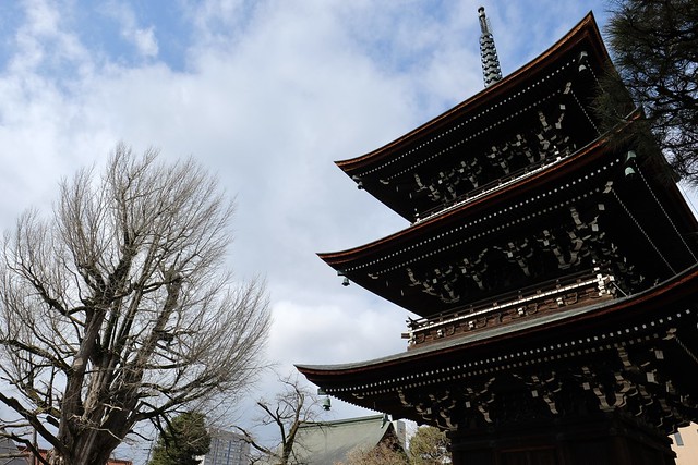 pagoda and tree