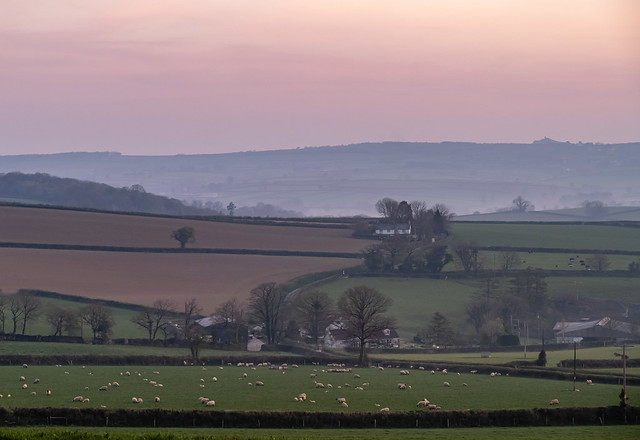 Morning Twilight Over Dartmoor