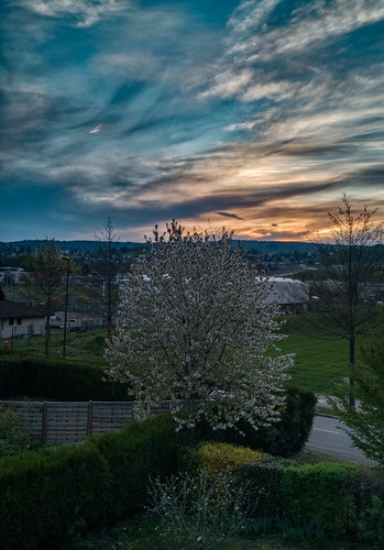 france nuage arbre printemps hautesavoie meythet sunset cloud tree spring