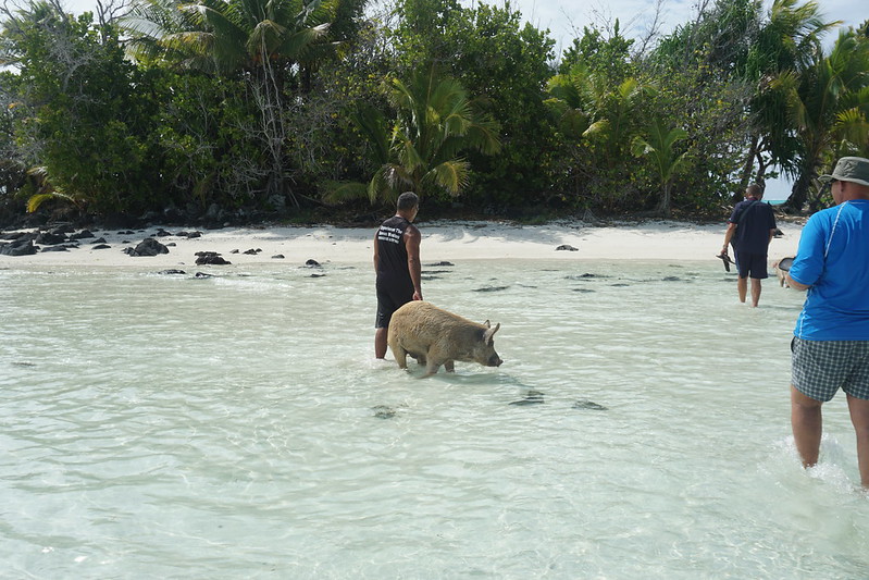 Kia Orana, ISLAS COOK - Blogs de Nueva Zelanda - La magia de la laguna de Aitutaki (12)
