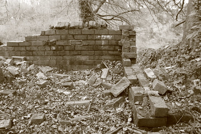 Remains of Twentywell brickworks site in Poynton Wood, Bradway, Sheffield.      sepia version