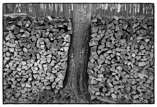 20001_66 Wood pile, January 2020