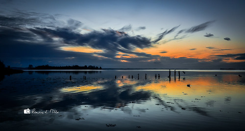 sunrise dawn early morning colours clouds reflections water strangford lough wooden posts comber newtownards county down northern ireland ronnielmills landscape photography