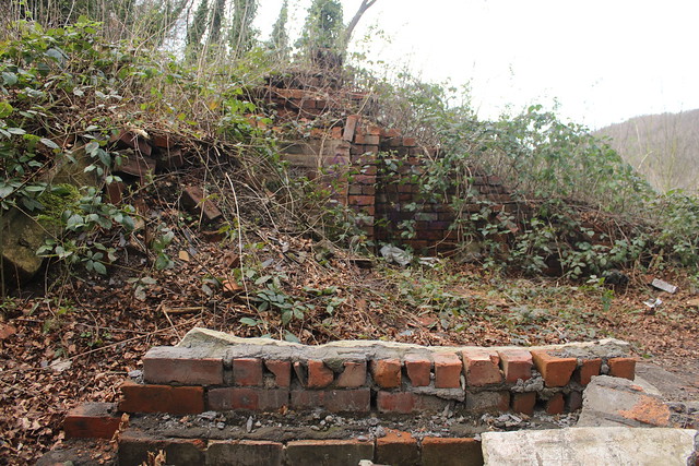 Remains of Twentywell brickworks site in Poynton Wood, Bradway, Sheffield