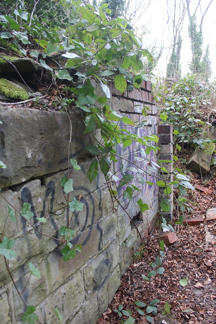 Remains of Twentywell brickworks, Poynton Wood, Sheffield.