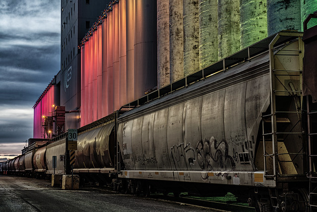 Grain train night time loading at urban silo