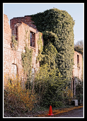 Ivy Tower | Andy | Flickr