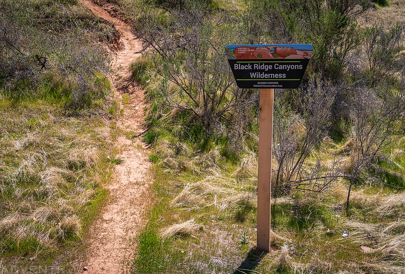 Black Ridge Canyons Wilderness Sign