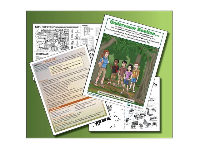 Four activities offered through Hungry Pests educator tools page