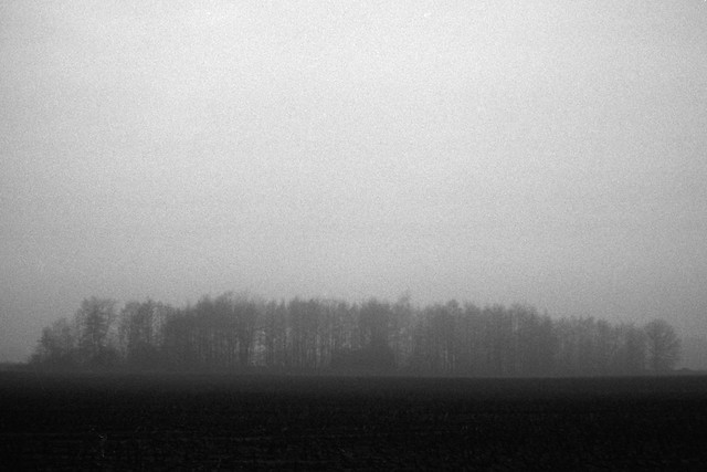 Dark fields