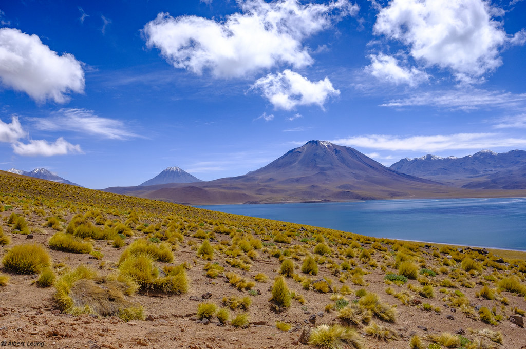 Miscanti Lagoon, Atacama - DSCH1588