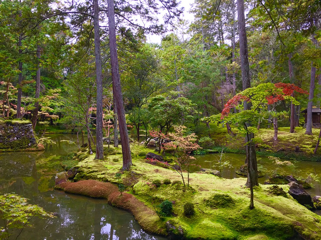 Nature in Kyoto, Japan