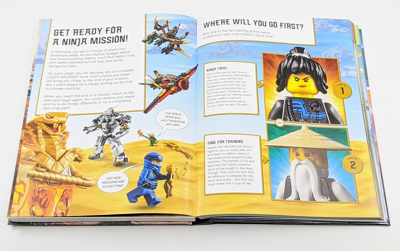 LEGO NINJAGO Choose Your Ninja Mission