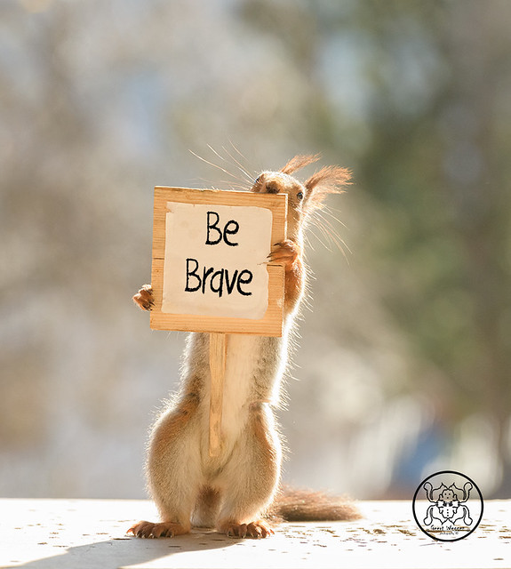 red squirrels holding an sign with text be brave