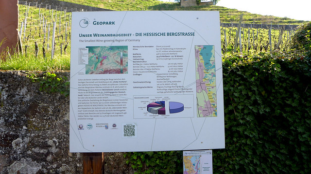2020_04 Weinblickweg Heppenheim