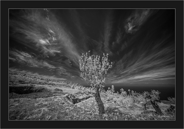 incredible clouds with infrared