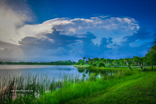 landscape sescape water pond lake sky clouds cloudy weather grass trees outdoors nature mothernature blue green colorful soreline waterfront fortpierce saintluciecounty florida usa