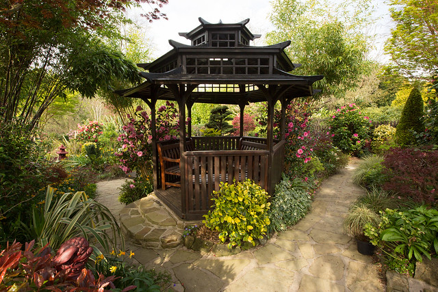Mid spring in the pagoda garden