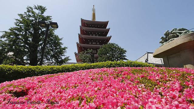 Tokio - Tempio Asakusa Cannon