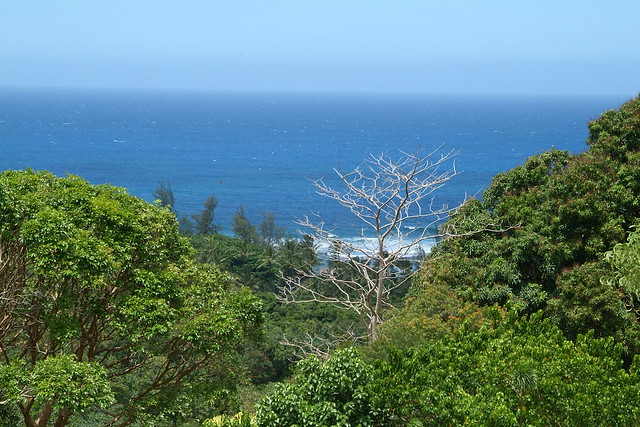 Ocean view from Limahuli Garden & Preserve - Kauai Hawaii