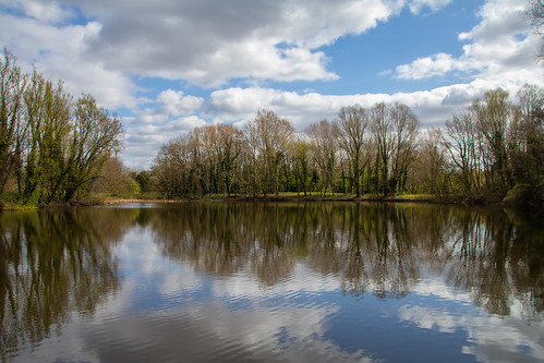 arrowvalley redditch reflection sky nature landscape uk greatbritain tree lake cloud clouds canon canoneos canon80d canonuk countrylife lockdown dailyexercise mentalwellbeing