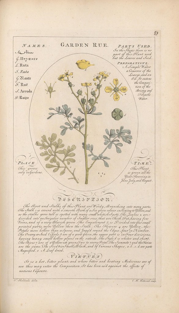 n186_w1150 | Botanicum medicinale : London :Printed for J. M… | Flickr