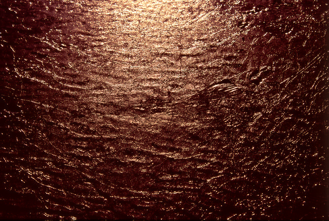 Kiwi Leather  (Velvia 100)