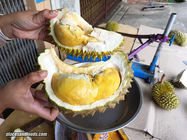 durian thai luang