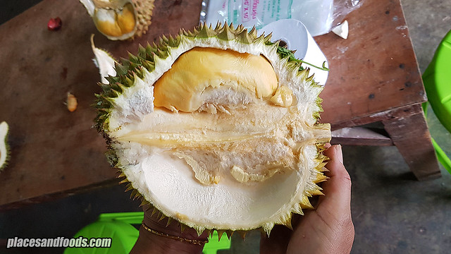 thai durian luang