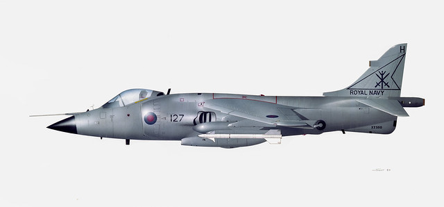 British Aerospace Sea Harrier_SCY