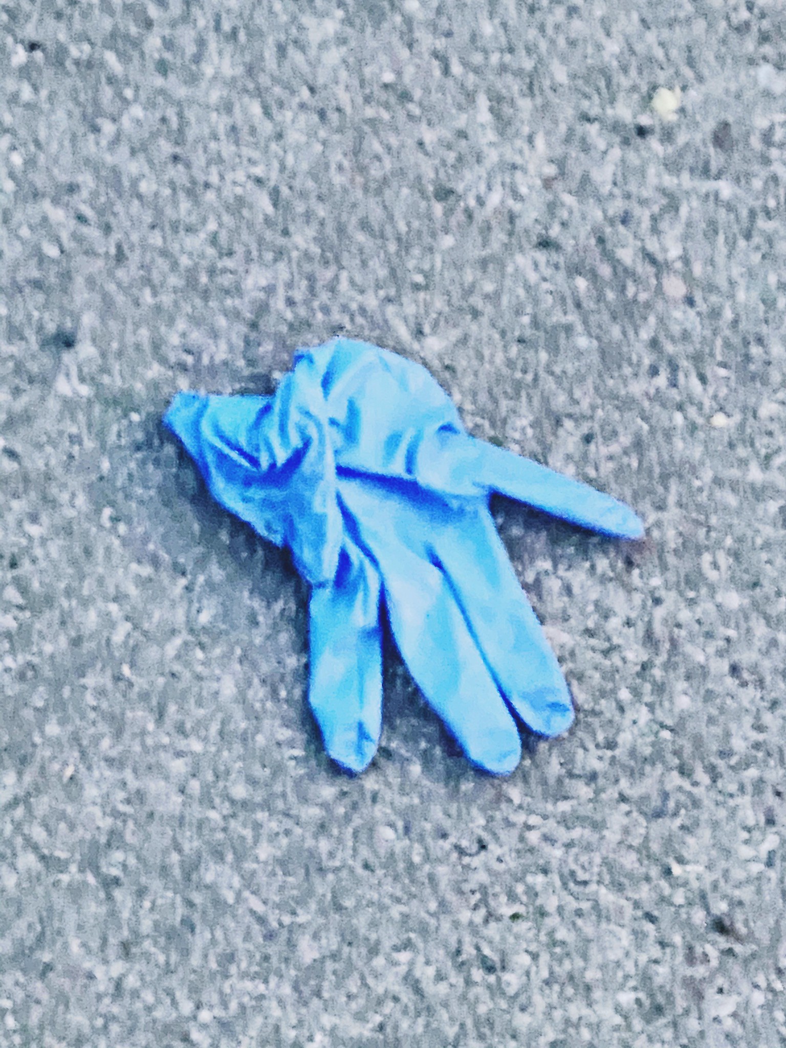 Discarded corona glove