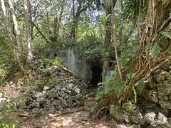 Japanese bunker, Peleliu